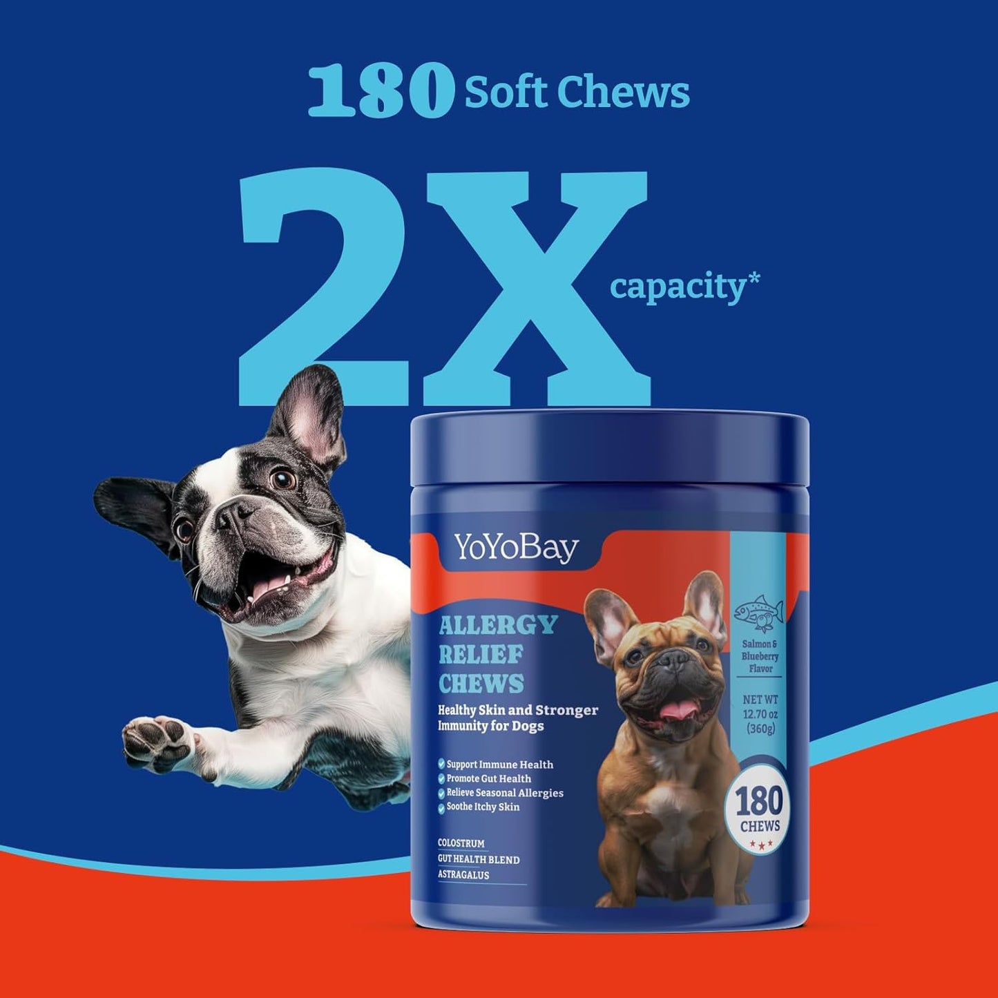 Dog Allergy Relief Chews - Salmon & Blueberry Flavor, 180 Chews
