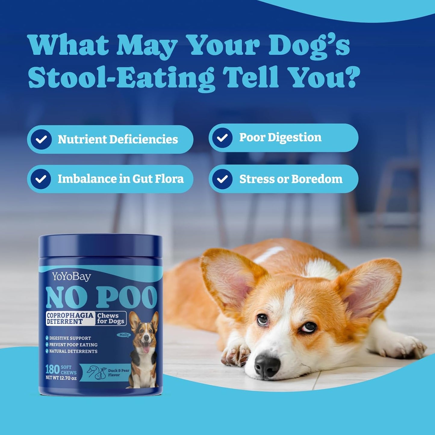 No Poo Chews for Dogs- 180 Soft Chews, Duck & Pear Flavor