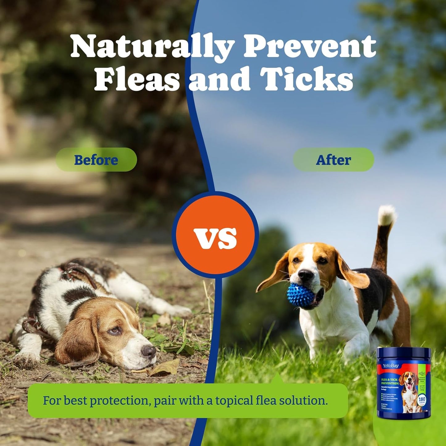 Flea and Tick Prevention for Dogs Chewable - 180 Soft Chews, Salmon & Blueberry Flavor