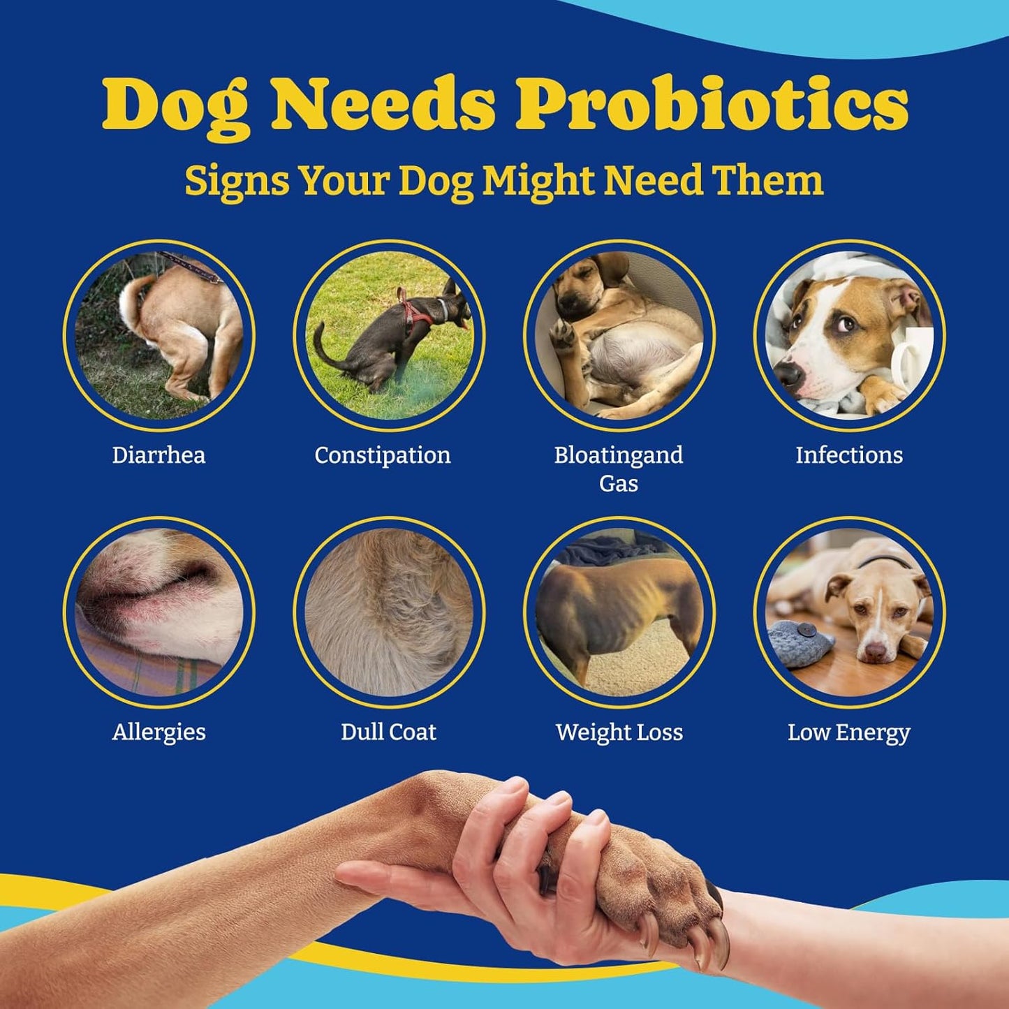 Probiotics for Dogs-Salmon & Blueberry Flavor -180 Soft Chews