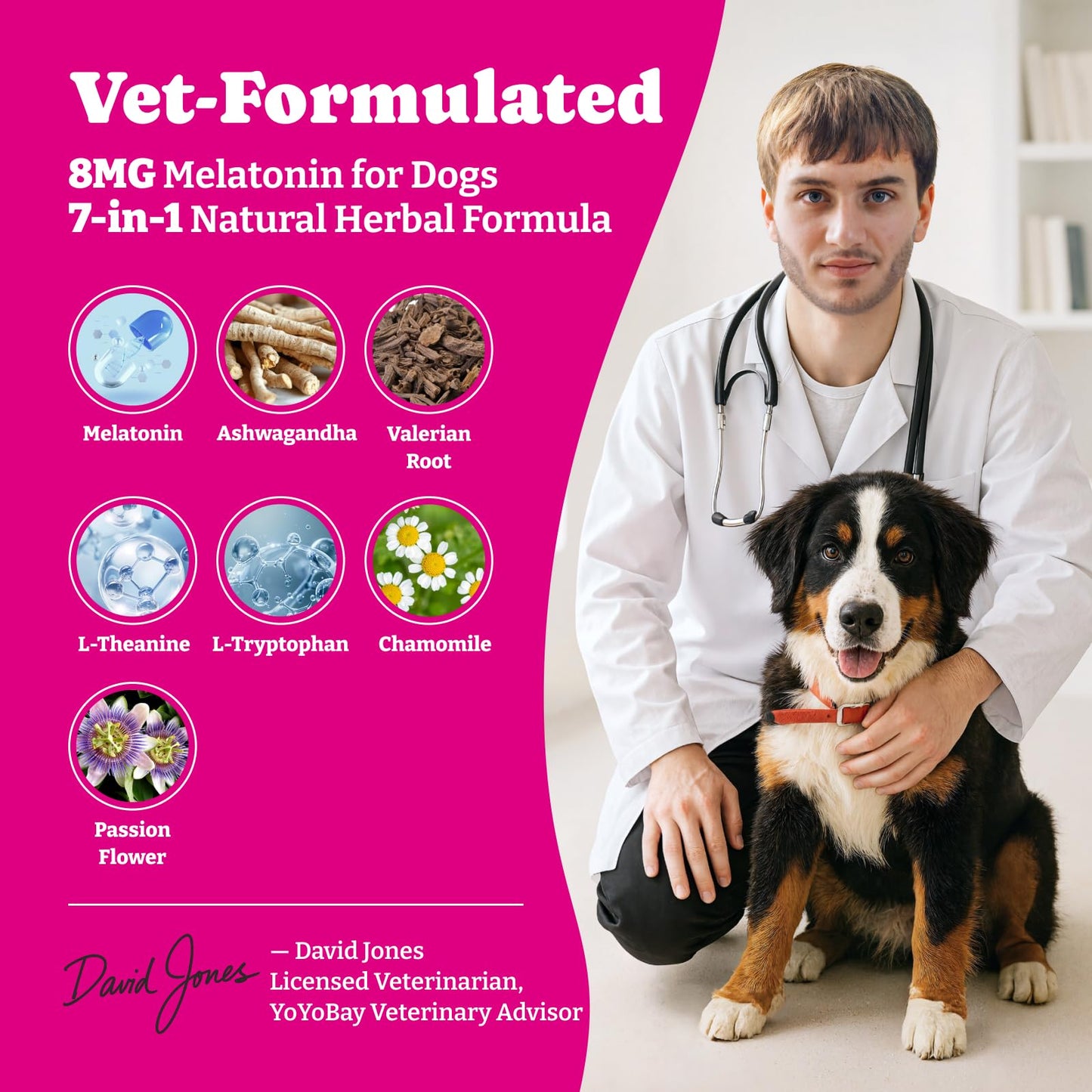 Advanced Melatonin for Dogs - 180 Dog Melatonin Calming Chews for Small and Large Dogs - Natural Herbs Dog Sleep Aid