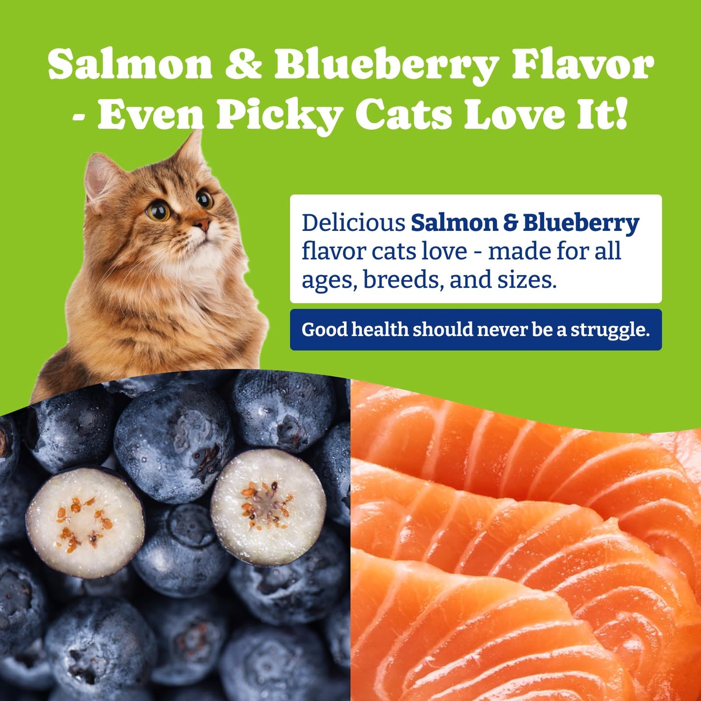 Flea and Tick Prevention for Cats -Salmon & Blueberry Flavor - 200 Soft Chews