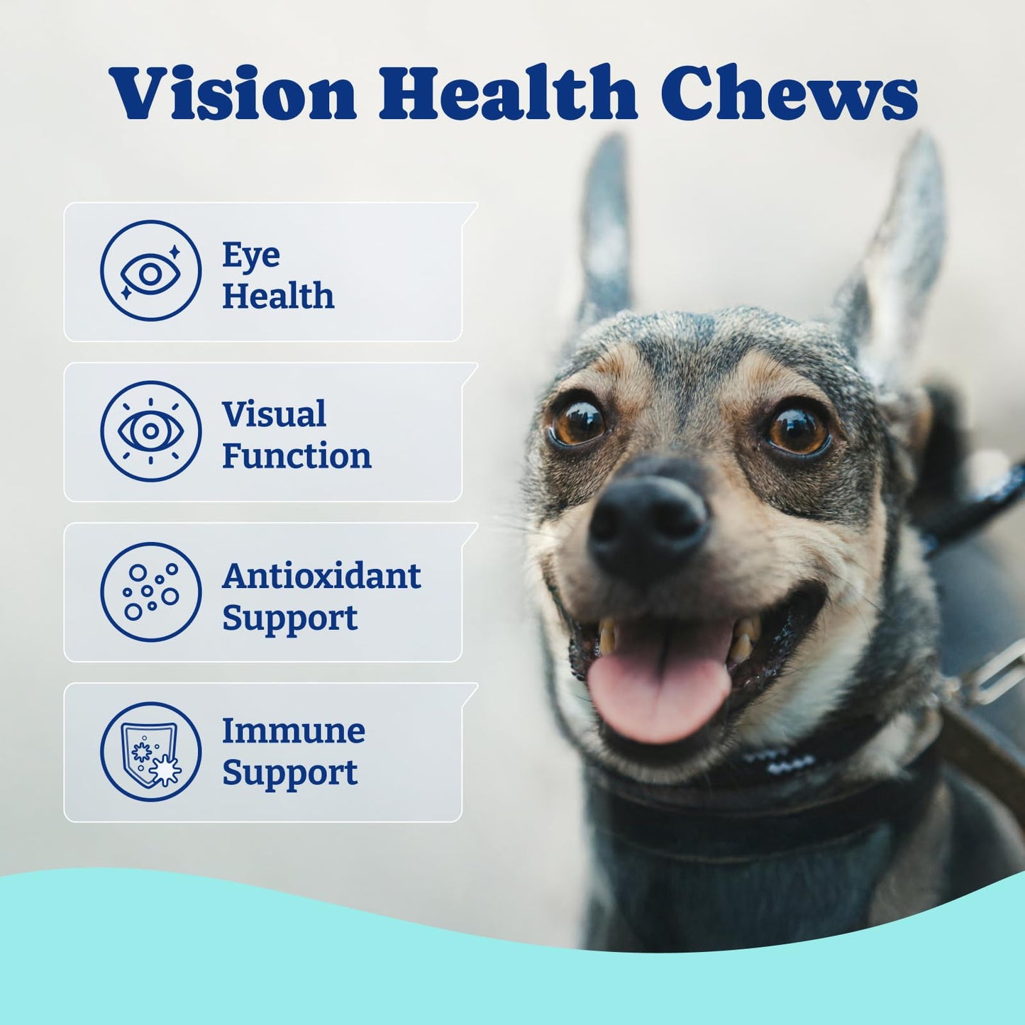 Eye Supplement for Dogs - 120 Soft Chews, Eye Vitamins for Dogs - Duck & Pear Flavor