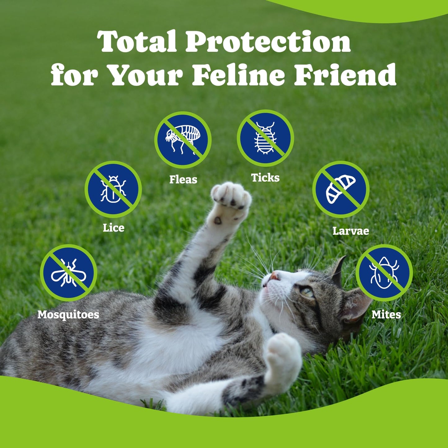 Flea and Tick Prevention for Cats -Salmon & Blueberry Flavor - 200 Soft Chews