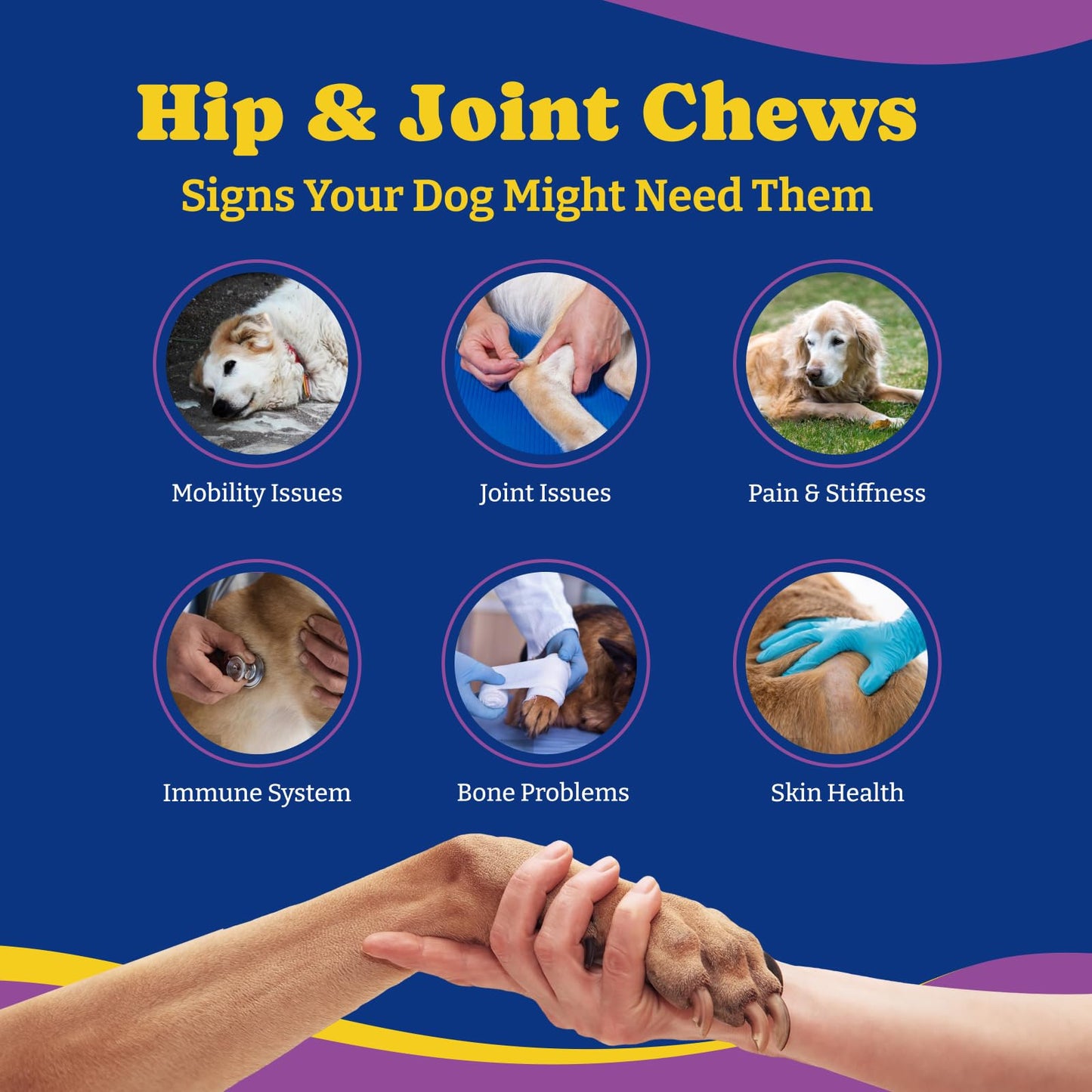 Hip & Joint Supplement for Dogs, 180 Soft Chews, Duck & Pear Flavor