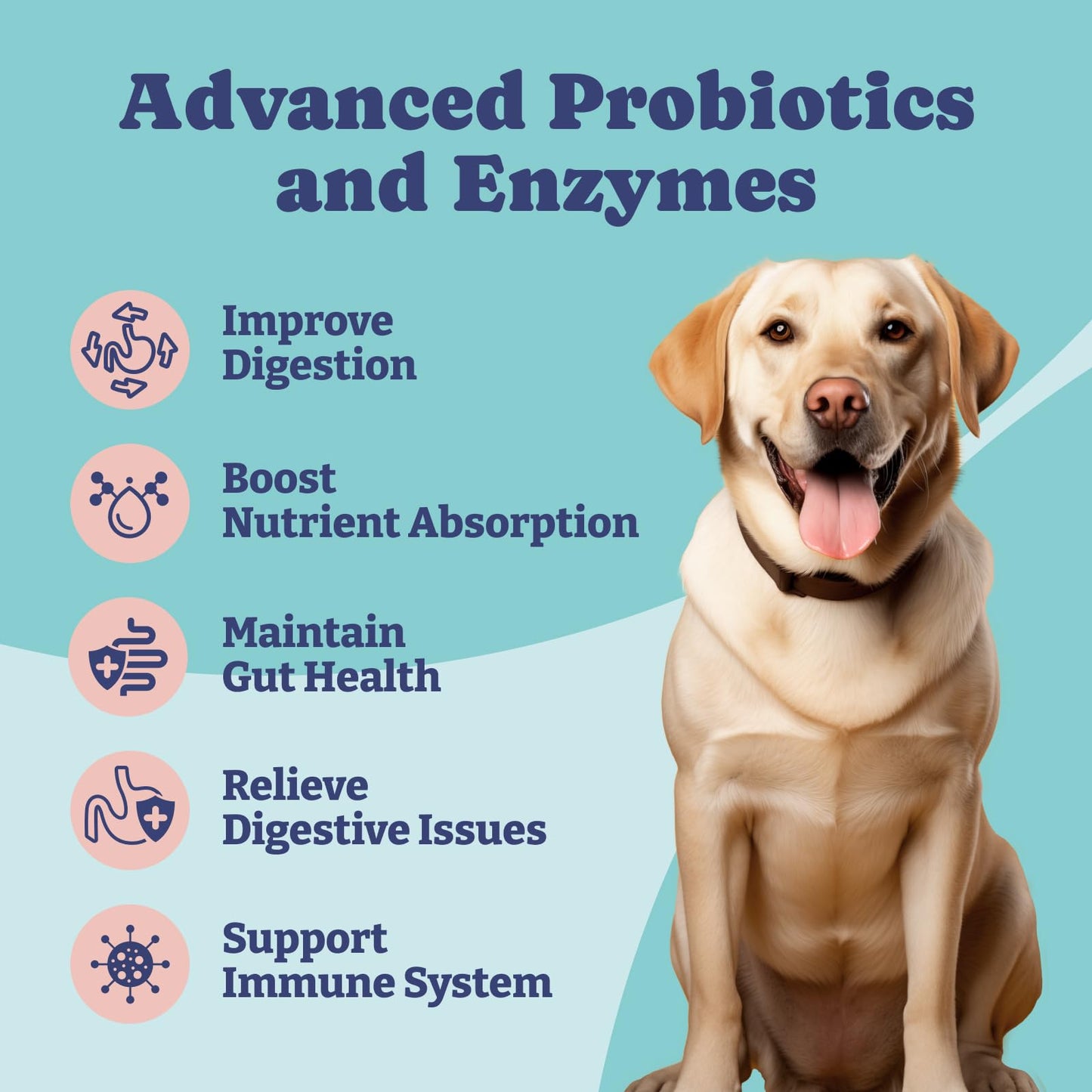 Probiotics for Dogs, 90 Soft Chews