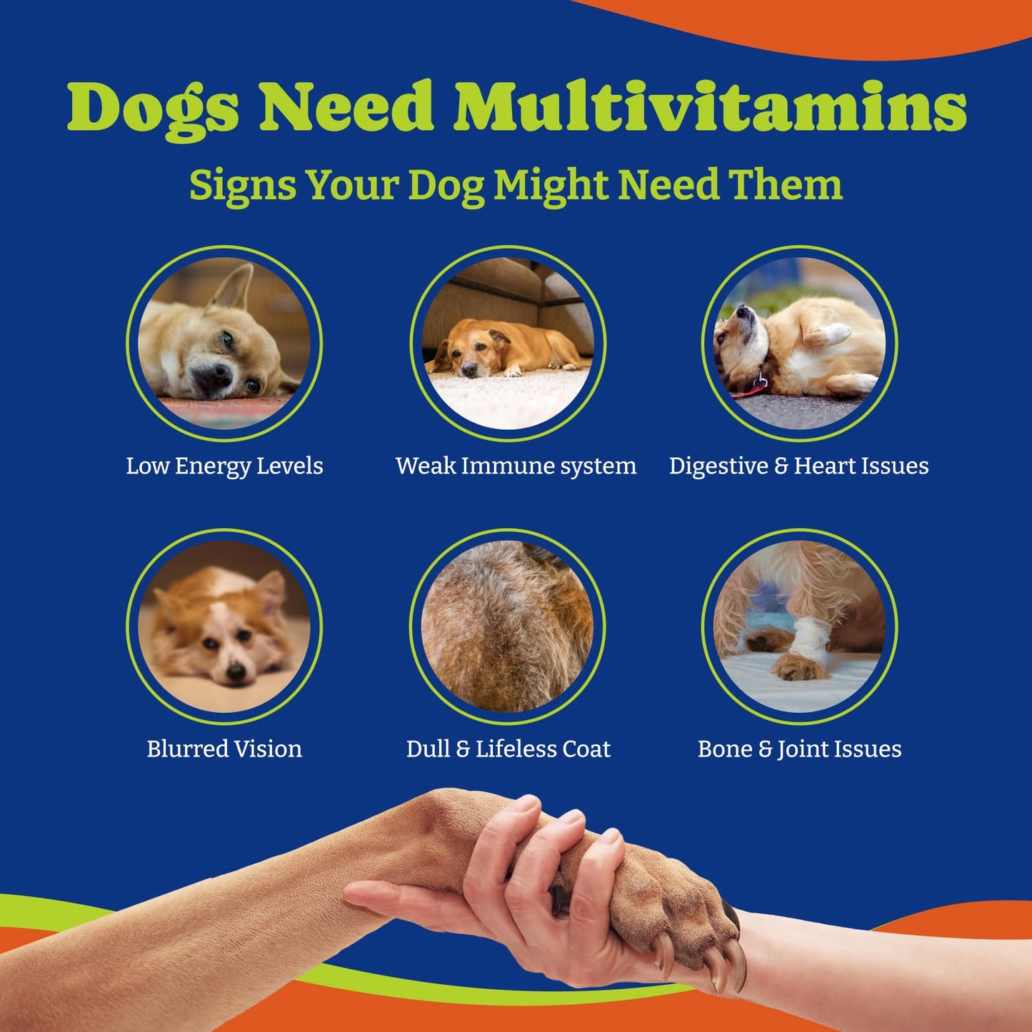 Dog Vitamins and Supplements - 180 Soft Chews, Duck & Pear Flavor - Joint, Skin & Coat Care - Vitamins A, B, C, D, E