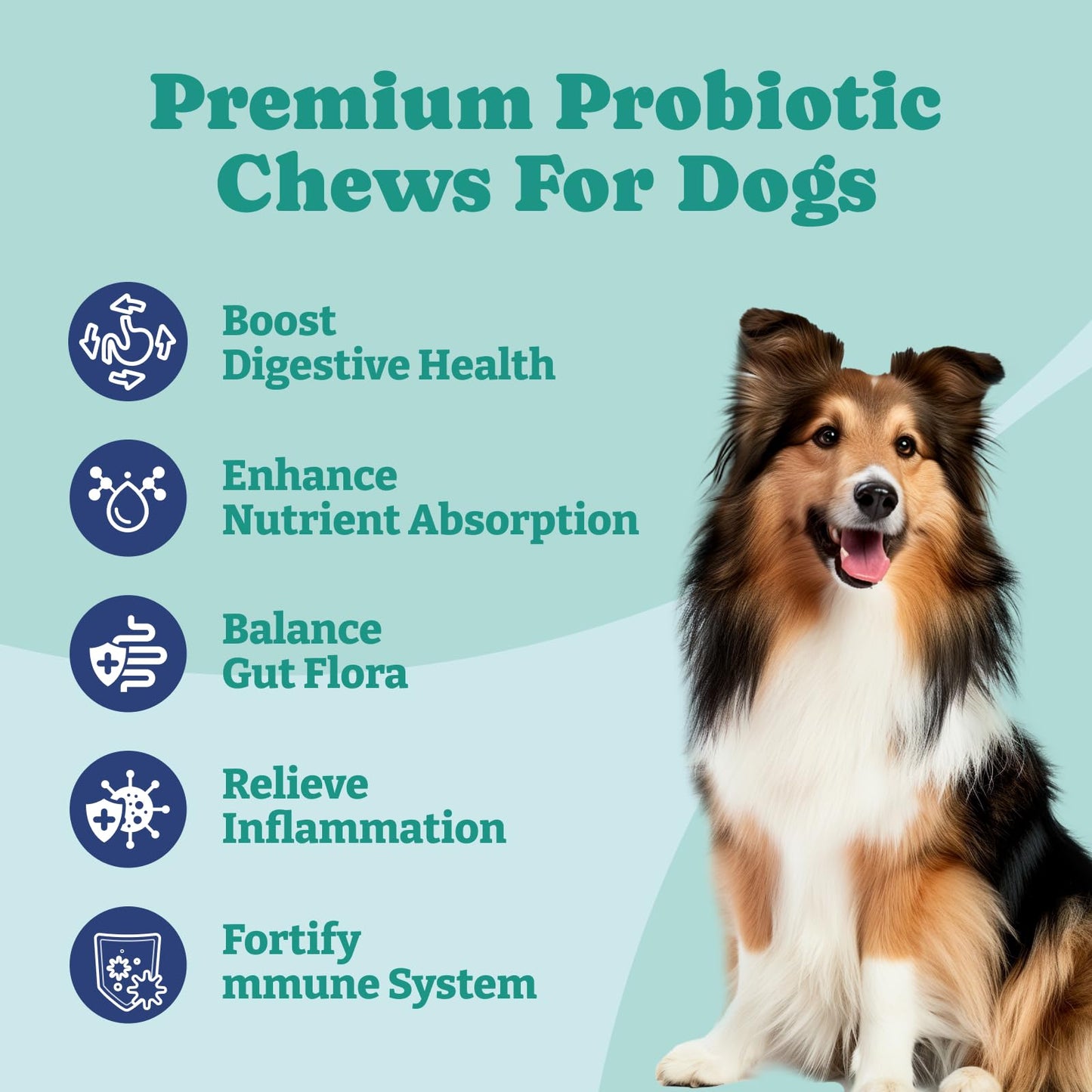 Probiotics for Dogs, Chicken Flavor, 120 Soft Chews