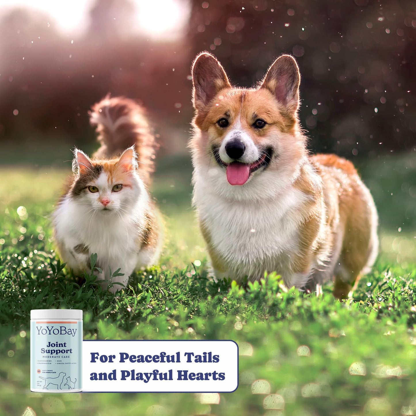 Joint Supplement for Dogs, Hip and Joint Supplement, 60 Soft Chews