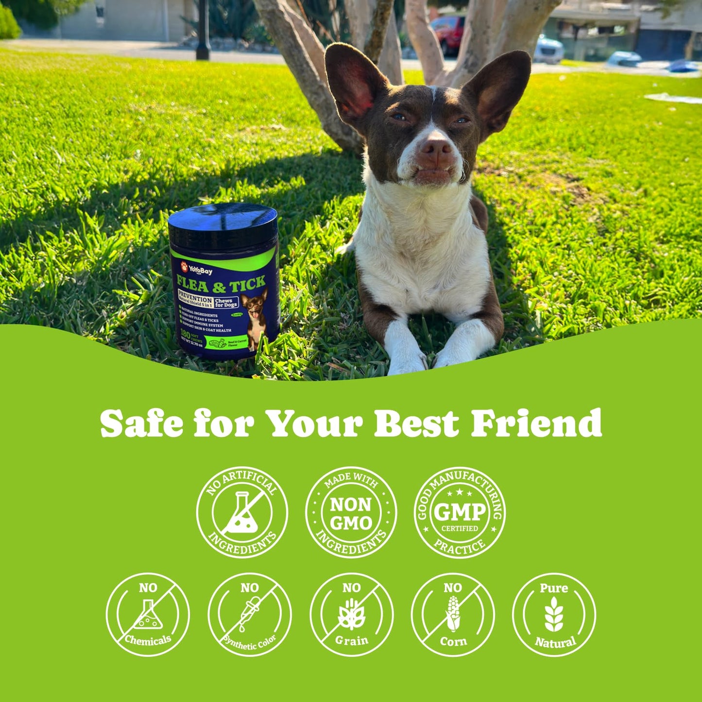 Flea & Tick Prevention for Dogs Chewables, Beef & Carrot Flavor, 180 Soft Chews