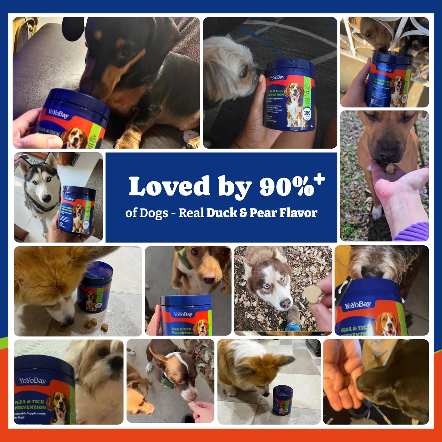 Flea and Tick Prevention for Dogs Chewable - 70 Soft Chews, Duck & Pear Flavor