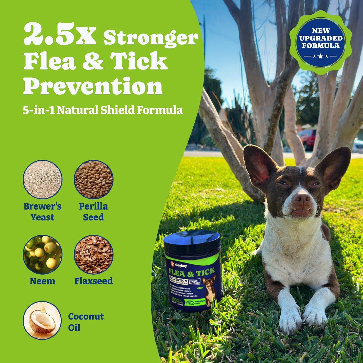 Flea & Tick Prevention for Dogs Chewables, Lamb & Apple Flavor, 180 Soft Chews