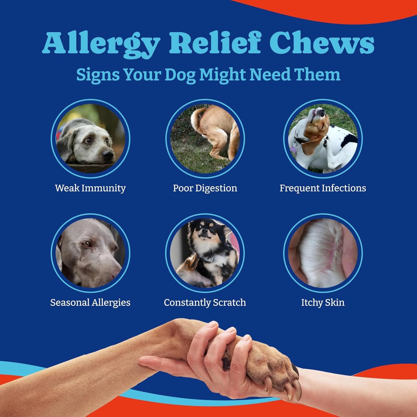 Dog Allergy Relief Chews – 180 Soft Chews, Turkey & Pumpkin Flavor