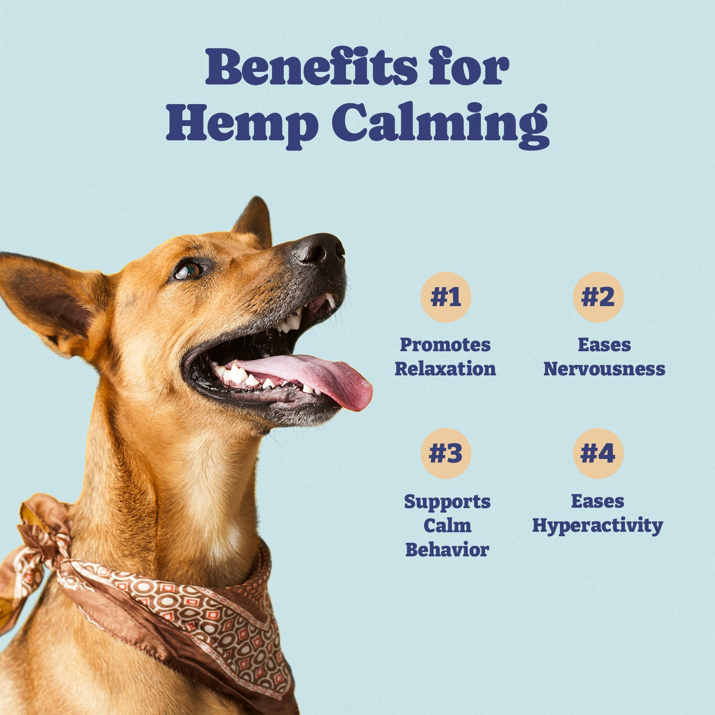 Dog Hemp Calming Chews, 60 Soft Chews