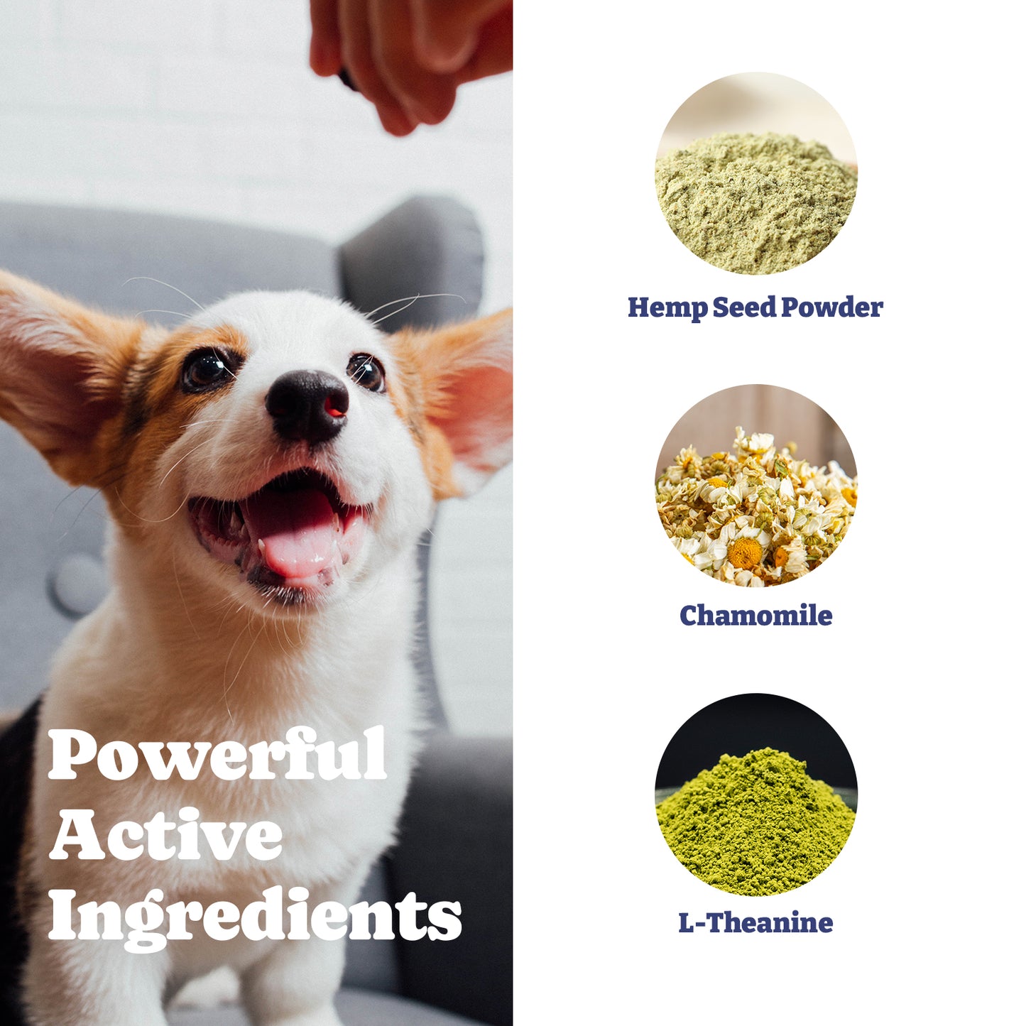 Dog Hemp Calming Chews, 60 Soft Chews