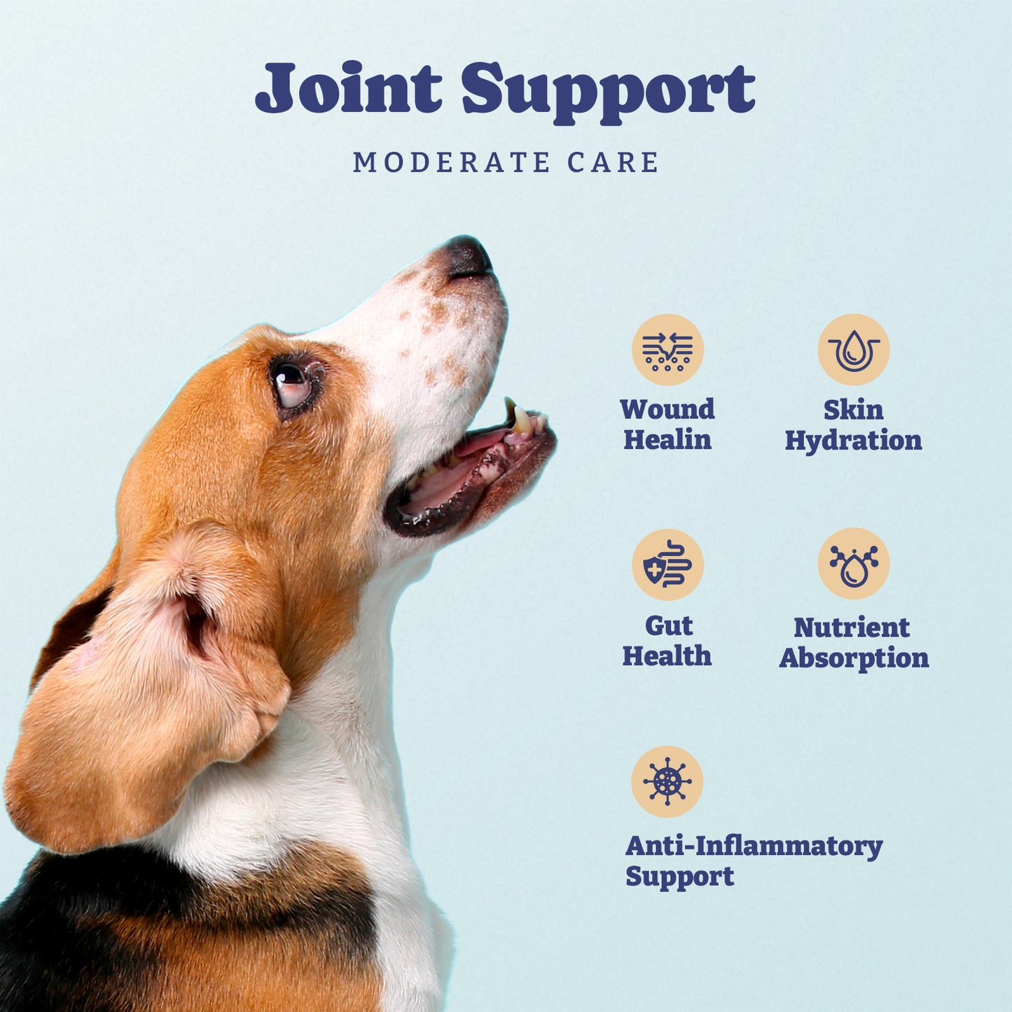 Dog Hip and Joint Supplement, 60 Soft Chews
