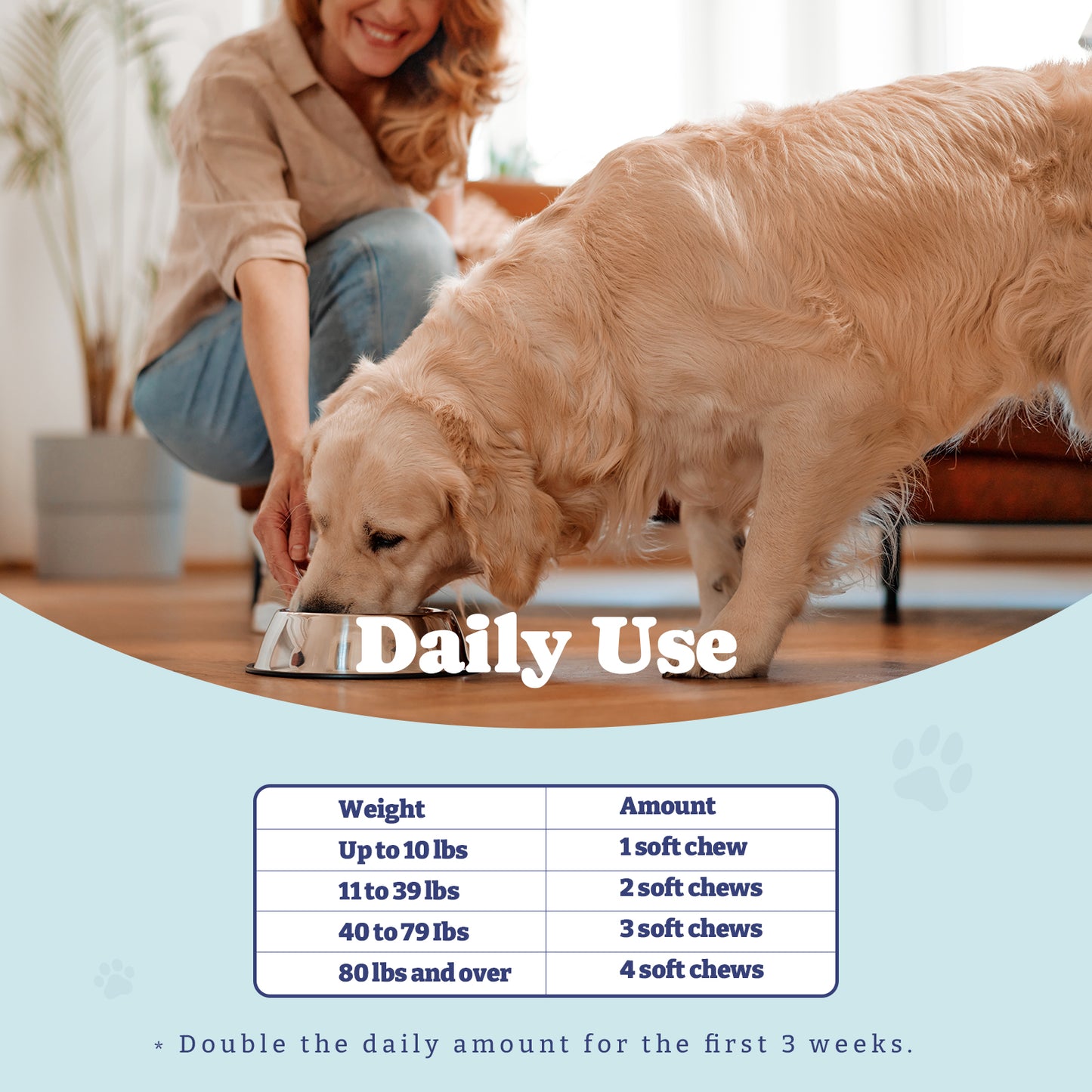 Dog Hip and Joint Supplement, 60 Soft Chews