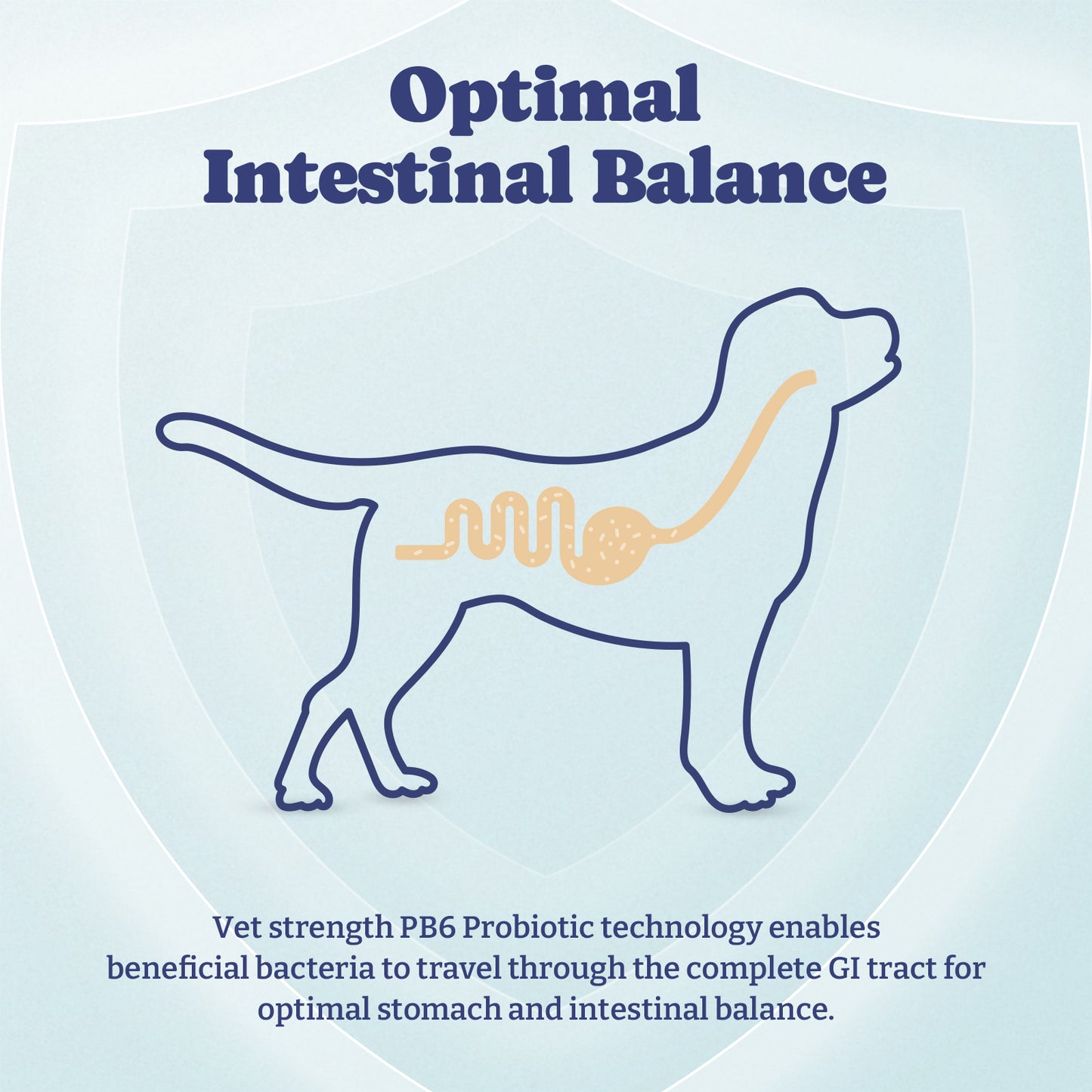 Dog Probiotics and Digestive Enzymes, 60 Soft Chews
