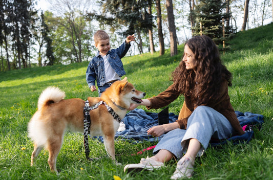 Understanding Probiotics and Prebiotics for Dogs