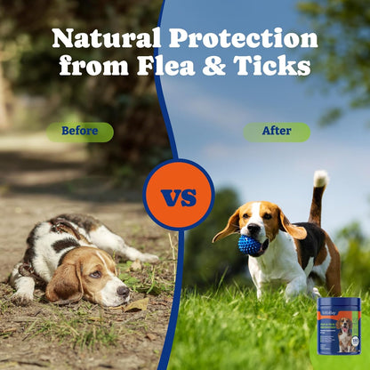 Flea and Tick Prevention for Dogs Chewable - 180 Soft Chews, Duck & Pear Flavor - Dog Immune Support Supplement