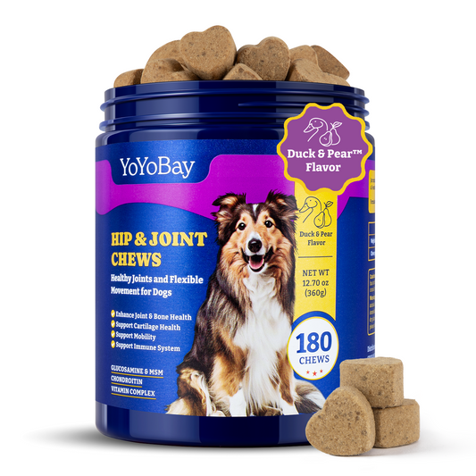 Hip & Joint Supplement for Dogs, 180 Soft Chews, Duck & Pear Flavor