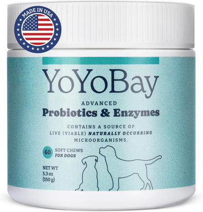 Dog Probiotics and Digestive Enzymes