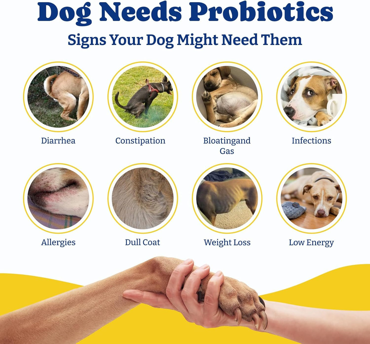 Probiotics for Dogs-Three Flavors -180 Soft Chews