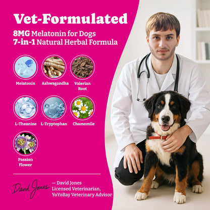 Advanced Melatonin for Dogs - 180 Dog Melatonin Calming Chews for Small and Large Dogs - Natural Herbs Dog Sleep Aid