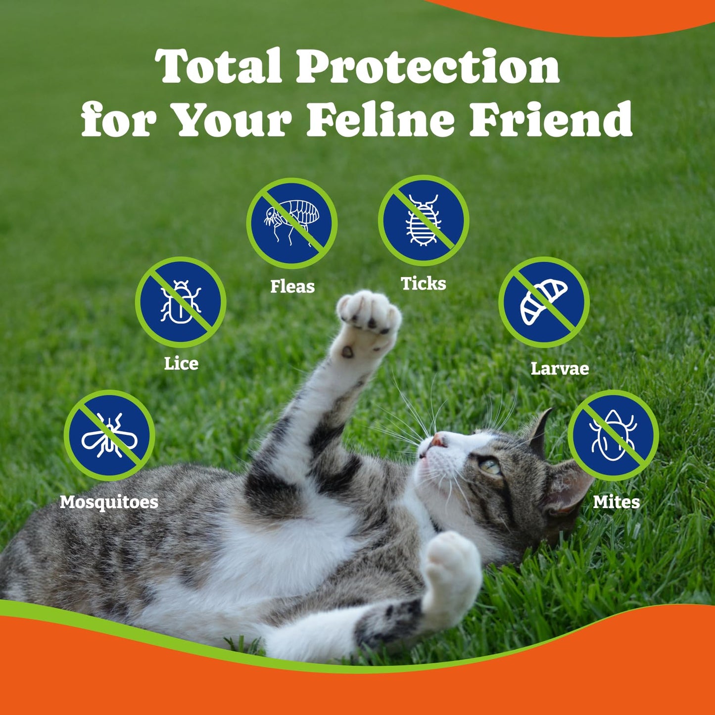 Flea and Tick Prevention for Cats - Salmon & Blueberry Flavor Cat Flea Treatment Chewable, 180 Chews