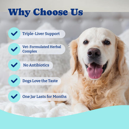 Milk Thistle Liver Support Chews for Dogs – Supports Liver Function, Antioxidant Defense & Immune Health – Duck & Pear Flavor – 120 Count