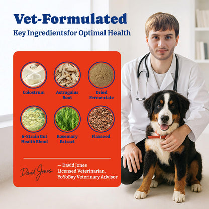 Dog Allergy Relief Chews – 70 Soft Chews, Salmon & Blueberry Flavor - Immune Support & Itch Relief with Colostrum