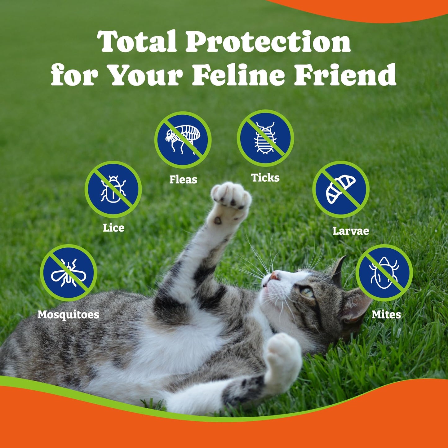 Flea and Tick Prevention for Cats -  Beef & Carroct Flavor ,200 Soft Chews
