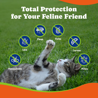 Flea and Tick Prevention for Cats -  Beef & Carroct Flavor ,200 Soft Chews