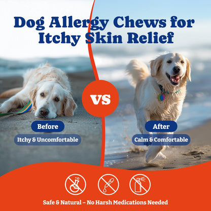 Dog Allergy Relief Chews – 70 Soft Chews, Turkey & Pumpkin Flavor