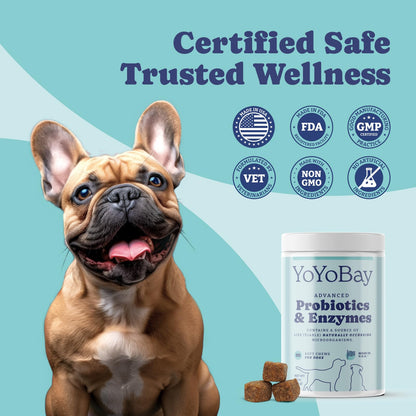 Probiotics for Dogs, 90 Soft Chews