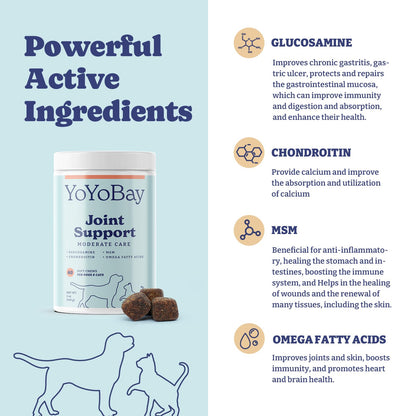 Joint Supplement for Dogs, Hip and Joint Supplement, 60 Soft Chews