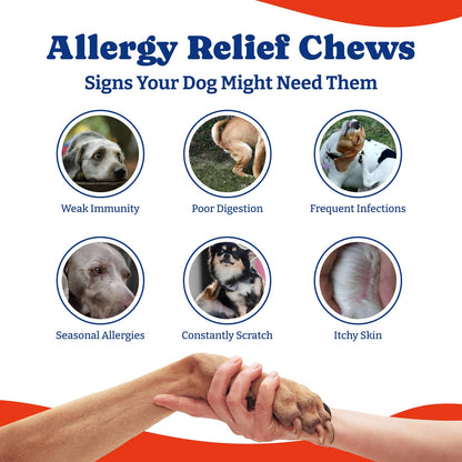Dog Allergy Relief Chews – 70 Soft Chews, Turkey & Pumpkin Flavor