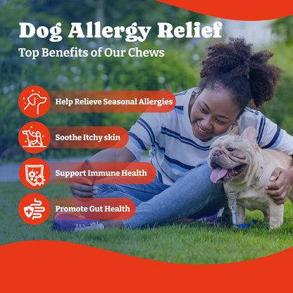 Dog Allergy Relief Chews – 70 Soft Chews, Turkey & Pumpkin Flavor