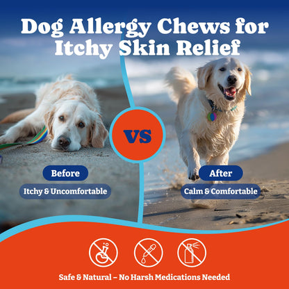 Dog Allergy Relief Chews –Salmon & Blueberry Flavor - Immune Support & Itch Relief ,180 Soft Chews