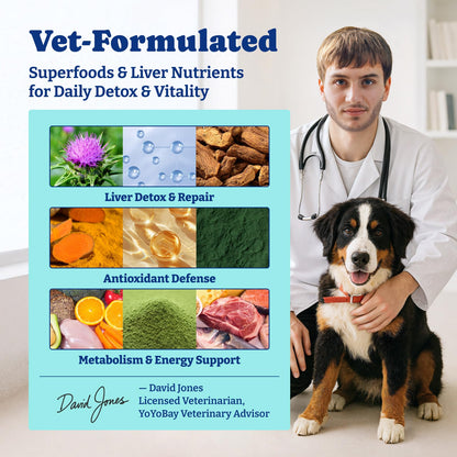 Milk Thistle Liver Support Chews for Dogs – Supports Liver Function, Antioxidant Defense & Immune Health – Duck & Pear Flavor – 120 Count