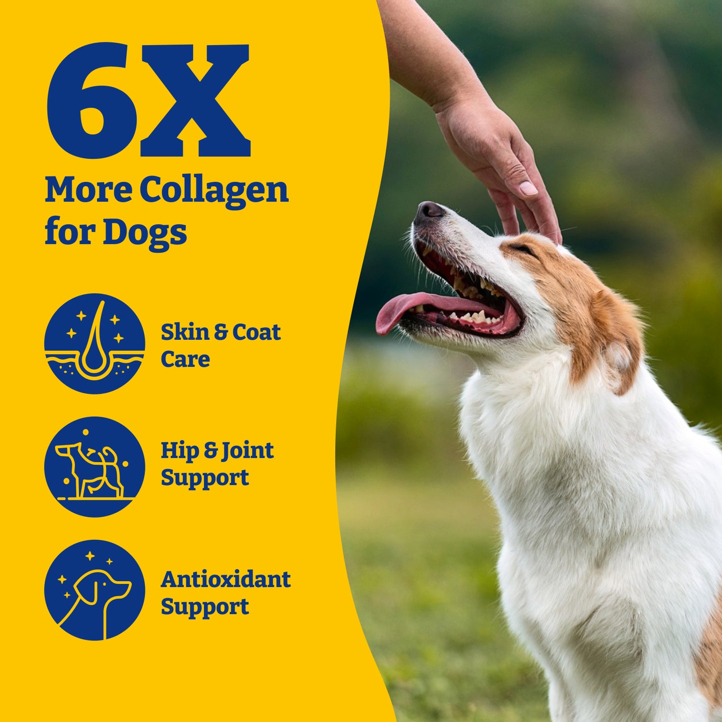 Collagen Soft Chews for Hip, Joint, Cartilage & Mobility Support 120ct