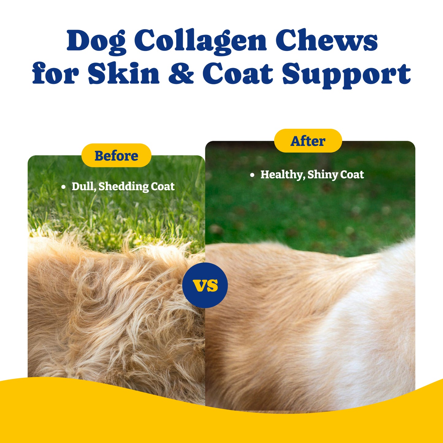 Collagen Soft Chews for Hip, Joint, Cartilage & Mobility Support 120ct