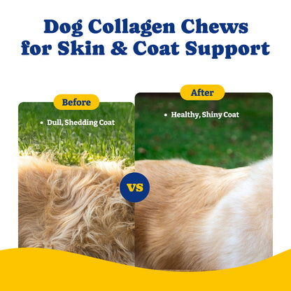 Collagen Soft Chews for Hip, Joint, Cartilage & Mobility Support 120ct
