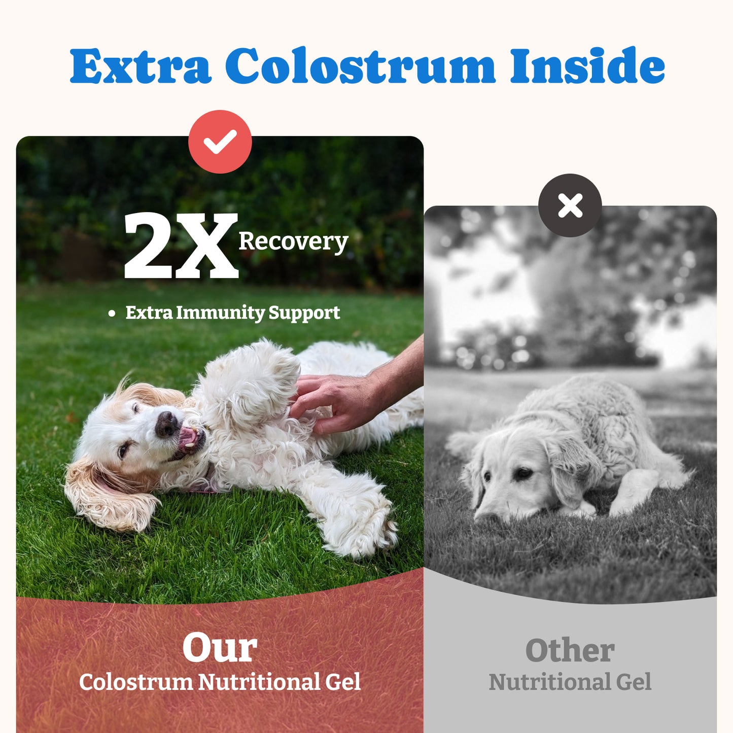 Bovine Colostrum Nutritional Gel for Cat & Dog