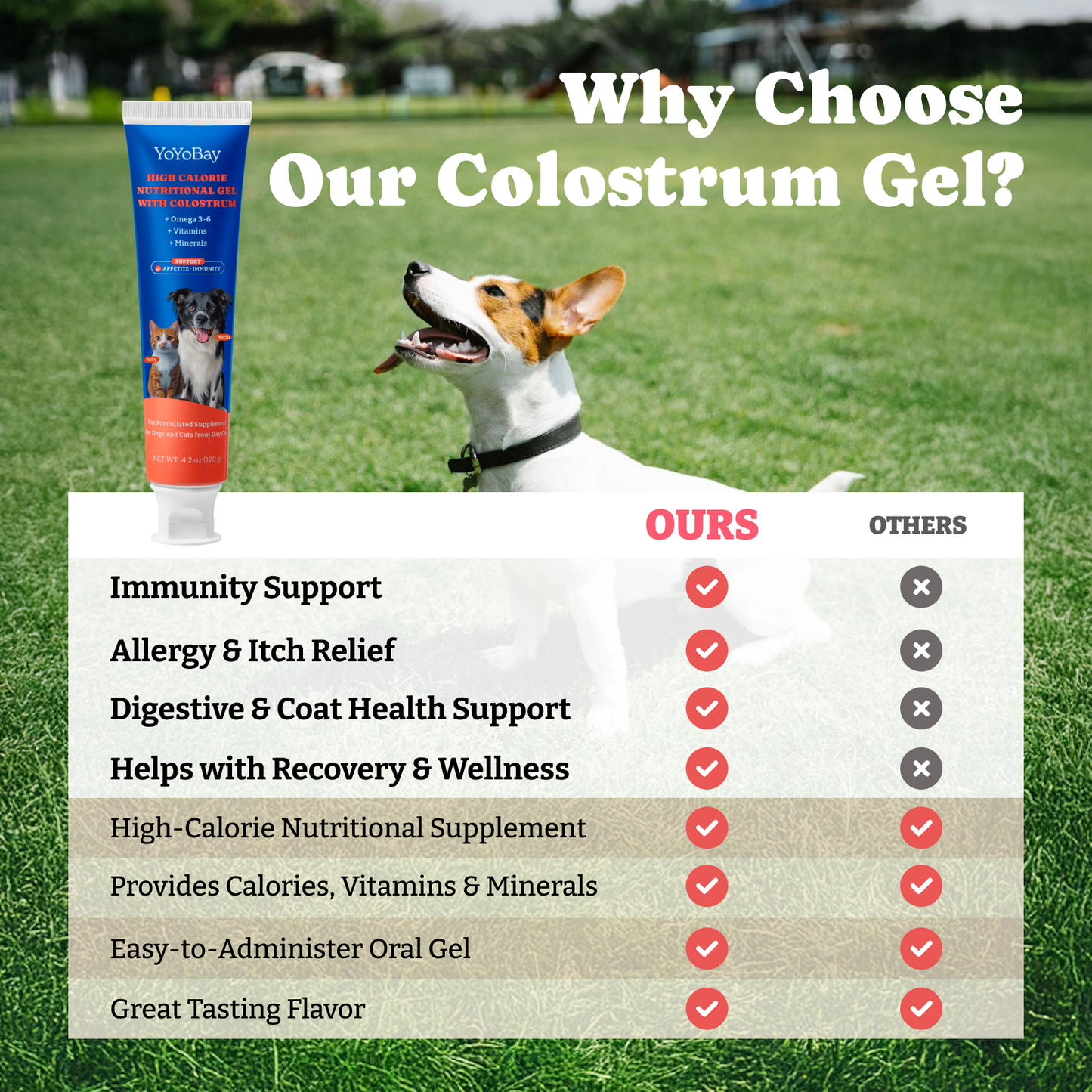 Bovine Colostrum Nutritional Gel for Cat & Dog